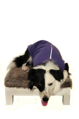 Polar Vests
