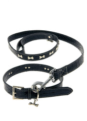 Bone Collar & Lead Set