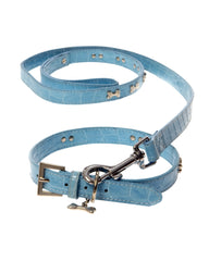 Bone Collar & Lead Set