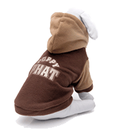 Puppy Phat Hoodie