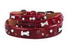 HOD Bones & Sprinkles Collar