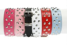 Stud Muffin Dog Collar