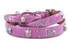 HOD Paws & Bones Collar