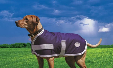 Weatherbeeta Landa Dog Coat