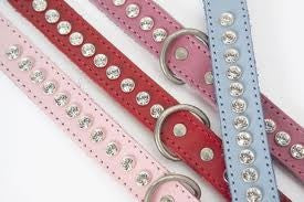 Glam Dog Collar