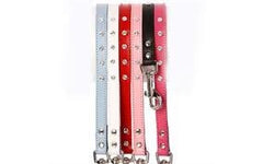 Glam Dog Collar